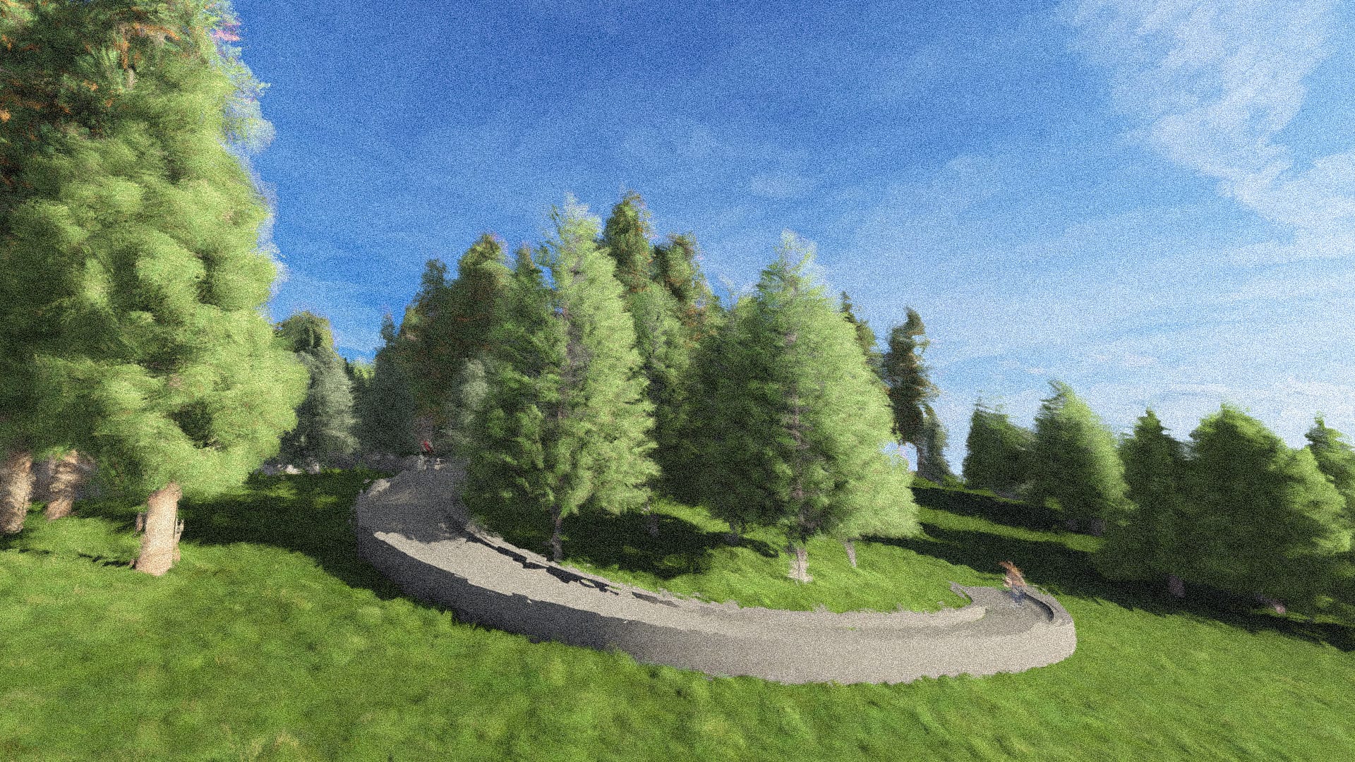 Node 11 — curved overlook through the spruce stand