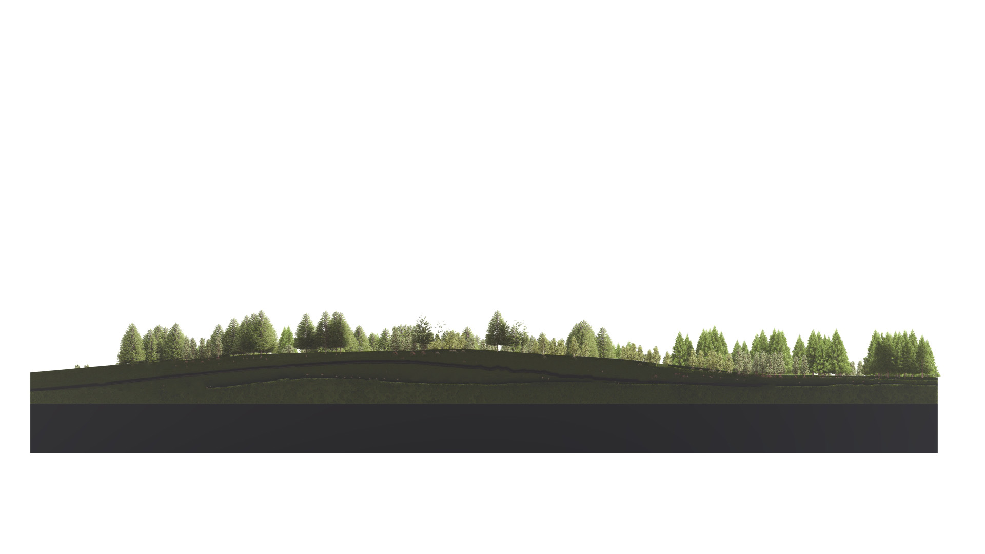 Landscape section 02 — ridge line through the spruce stand